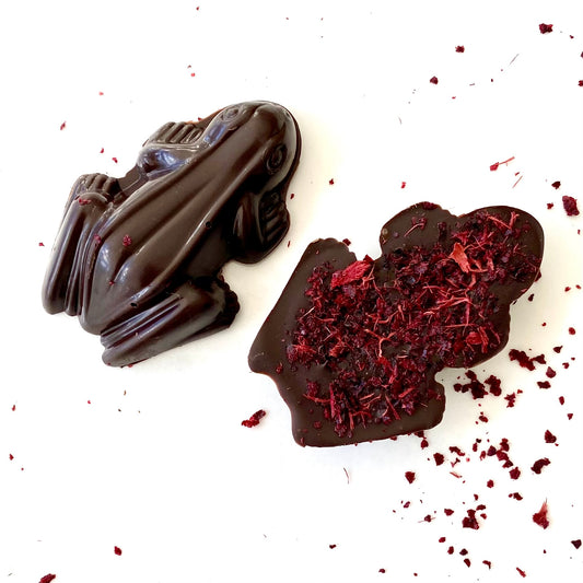 Frog - Davidson Plum Dark Chocolate - 20g