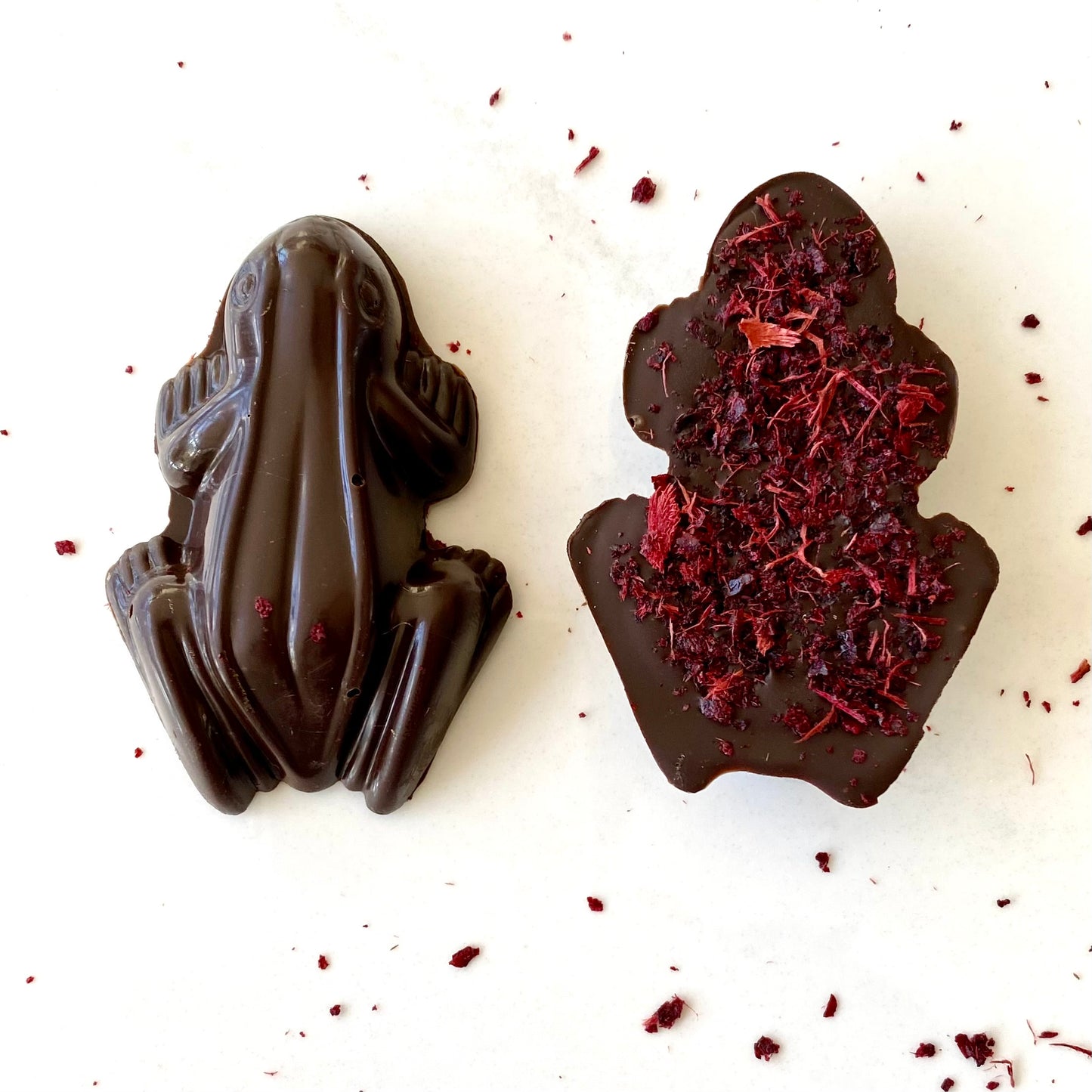 Frog - Davidson Plum Dark Chocolate