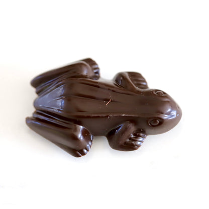Frog - Buderim Ginger Dark Chocolate - 20g