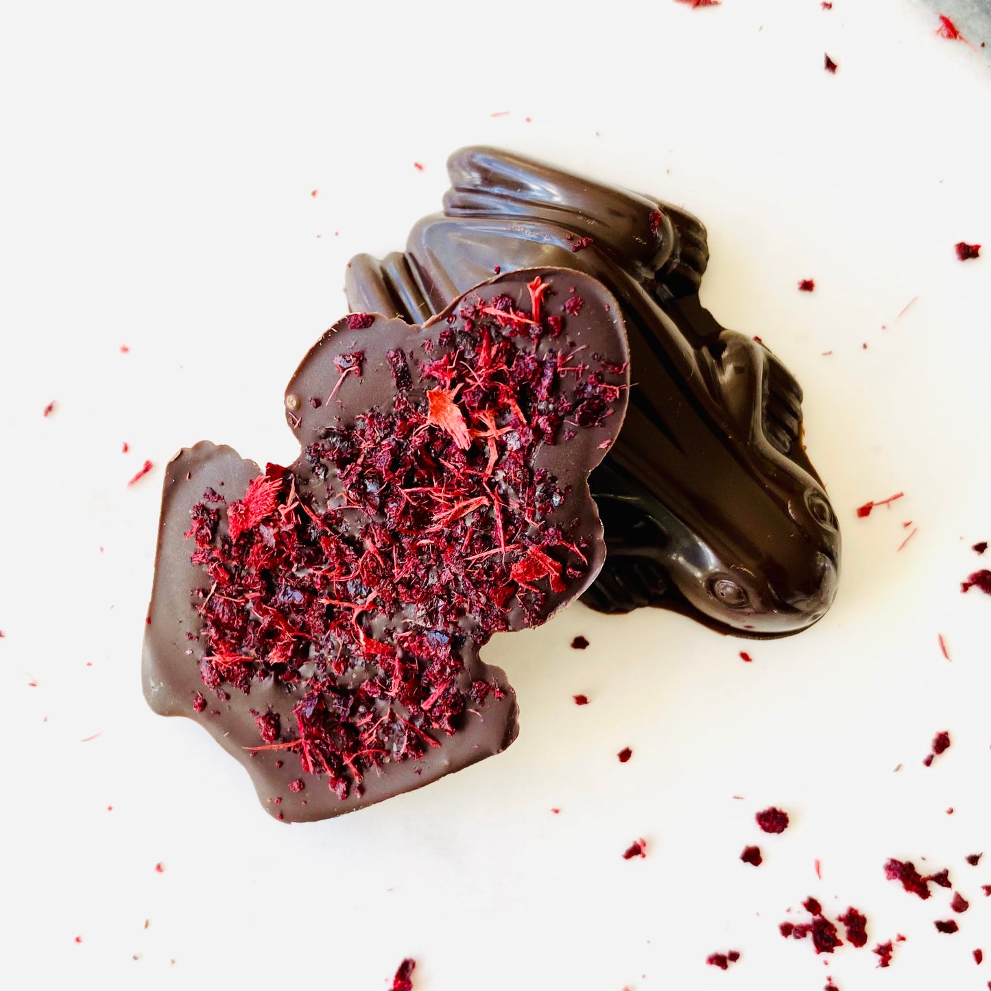 Frog - Davidson Plum Dark Chocolate