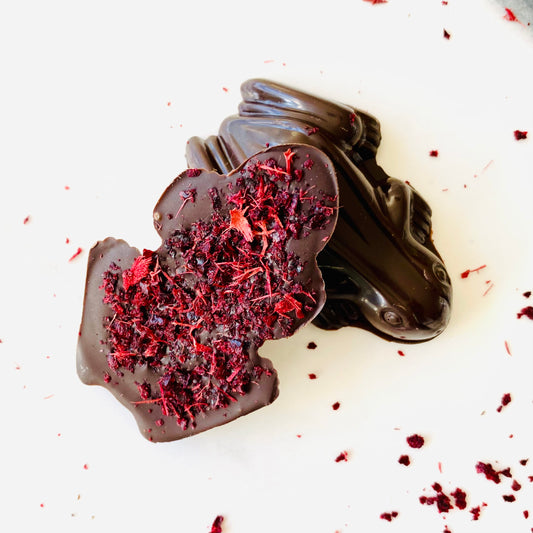 Frog - Davidson Plum Dark Chocolate
