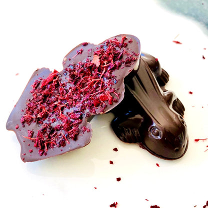 Frog - Davidson Plum Dark Chocolate